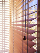 Горизонтальные жалюзи